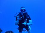 Hawaii Scuba divng 24