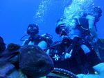 Hawaii Scuba divng 31