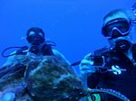 Hawaii Scuba divng 32