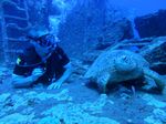 Hawaii Scuba divng 38