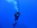 Hawaii Scuba divng 45