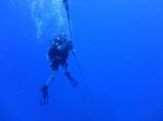 Hawaii Scuba divng 46