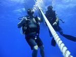 Hawaii Scuba divng 47