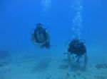 Hawaii Scuba divng 57