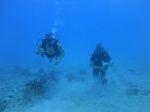 Hawaii Scuba divng 58