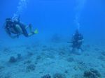 Hawaii Scuba divng 59