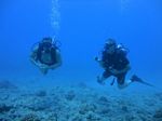 Hawaii Scuba divng 60