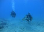 Hawaii Scuba divng 71