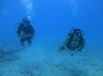 Hawaii Scuba divng 72