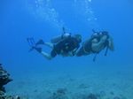 Hawaii Scuba divng 75