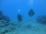 Hawaii Scuba divng 76