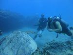 Hawaii Scuba divng 77