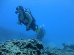 Hawaii Scuba divng 80