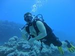 Hawaii Scuba divng 81