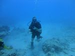 Hawaii Scuba divng 82