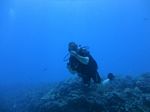 Hawaii Scuba divng 87