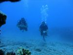 Hawaii Scuba divng 88