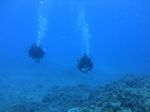 Hawaii Scuba divng 89