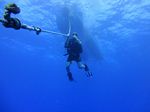 Hawaii Scuba divng 08