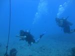 Hawaii Scuba divng 91