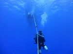 Hawaii Scuba divng 09