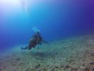 Hawaii Scuba divng 26