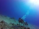 Hawaii Scuba divng 27