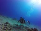 Hawaii Scuba divng 28