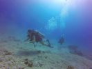 Hawaii Scuba divng 32