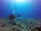 Hawaii Scuba divng 33