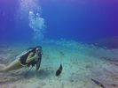 Hawaii Scuba divng 34