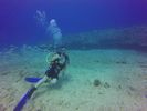 Hawaii Scuba divng 39