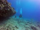 Hawaii Scuba divng 42