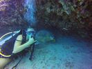 Hawaii Scuba divng 44