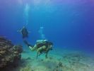 Hawaii Scuba divng 52