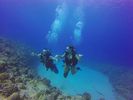 Hawaii Scuba divng 56