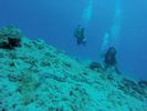 Hawaii Scuba divng 05