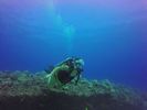 Hawaii Scuba divng 62