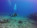 Hawaii Scuba divng 67