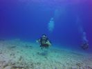 Hawaii Scuba divng 69