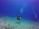 Hawaii Scuba divng 69