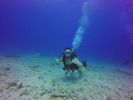 Hawaii Scuba divng 70