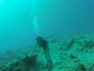 Hawaii Scuba divng 11