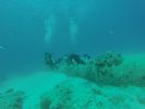 Hawaii Scuba divng 13