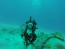 Hawaii Scuba divng 15