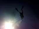 Hawaii Scuba divng 21