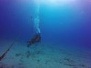 Hawaii Scuba divng 22