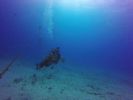 Hawaii Scuba divng 23