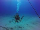 Hawaii Scuba divng 24