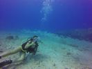 Hawaii Scuba divng 36